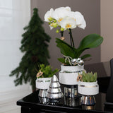 Kolibri Home | Le Chic bloempot - Witte keramieken sierpot met zilveren details - Ø6cm - plantforyou.nl