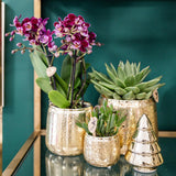Kolibri Home | Luxury bloempot - Gouden keramieken sierpot - Ø9cm - plantforyou.nl