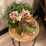 Kolibri Home | Glazed bloempot - Cognac keramieken sierpot met glans - Ø9cm - plantforyou.nl