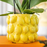 Kolibri Home | Citrus pot yellow - Ø9cm - plantforyou.nl