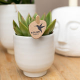 Kolibri Home | Glazed bloempot - Witte keramieken sierpot met glans - Ø6cm - plantforyou.nl