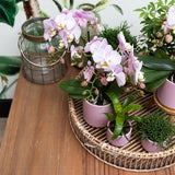 Kolibri Home | Gold foot pink bloempot - Roze keramieken sierpot met gouden rand - Ø6cm - plantforyou.nl