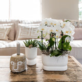 Kolibri Home | Diabolo pot white - Ø9cm - plantforyou.nl