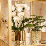 Kolibri Home | Metallic diamond bloempot - Gouden keramieken sierpot Ø9cm - plantforyou.nl