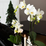 Kolibri Home | Luxury bloempot - Zilveren keramieken sierpot - Ø9cm - plantforyou.nl