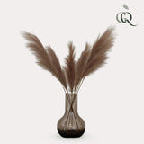 Kunstbloemen Solo - x 6 - 115cm - Pampas Plumes - Brown - plantforyou.nl
