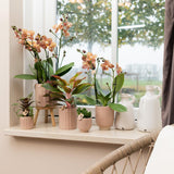 Kolibri Home | Glazed bloempot - Zandkleurige keramieken sierpot met glans - Ø9cm - plantforyou.nl