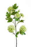 Kunstbloemen Solo - x 4 - 75cm - Viburnum Opulus Branches - Crème - plantforyou.nl