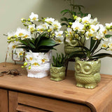 Kolibri Home | Owl bloempot - Witte keramieken sierpot - Ø6cm - plantforyou.nl