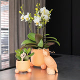 Kolibri Home | Rolling peach bloempot - Peach kleurige keramieken sierpot - Ø6cm - plantforyou.nl