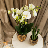 Kolibri Home | Face to face bloempot - Gouden keramieken sierpot - Ø9cm - plantforyou.nl