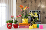 Kolibri Home | Citrus pot yellow - Ø12cm - plantforyou.nl