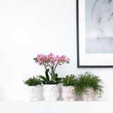 Kolibri Home | Owl bloempot - Witte keramieken sierpot - Ø6cm - plantforyou.nl