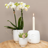 Kolibri Home | Kaarsenstandaard - Candle Face - 12cm hoog - White - plantforyou.nl