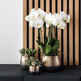 Kolibri Home | Elite pot copper  - Ø9cm - plantforyou.nl