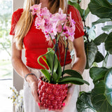 Kolibri Home | Berry pot - Ø9cm - plantforyou.nl